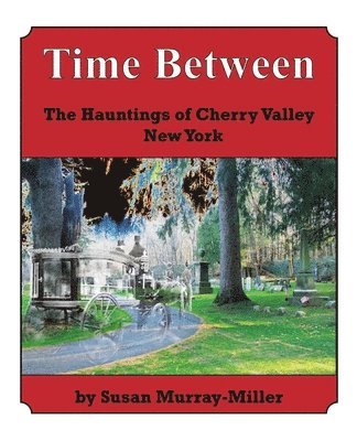 bokomslag Time Between: The Hauntings of Cherry Valley New York