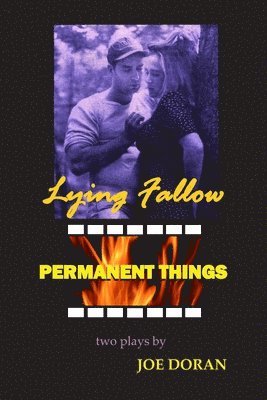 Joe Doran - Lying Fallow and Permanent Things, Häftad