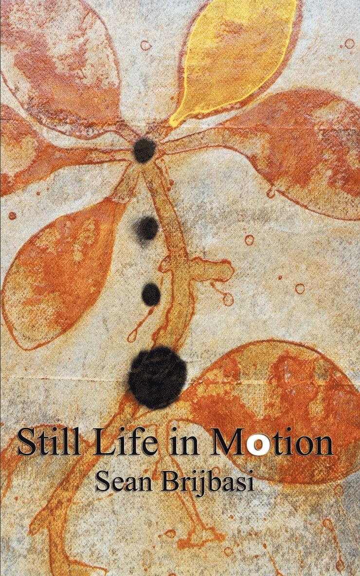 Still Life in Motion 1