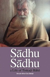 bokomslag Sadhu Sadhu