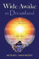 bokomslag Wide Awake in Dreamland: A Journey Ends at Colliding Rivers