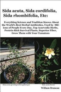 bokomslag Sida acuta, Sida cordifolia, Sida rhombifolia, Etc.: Everything Science and Tradition Knows about the World's Best Herbal Antibiotics, Used by Million