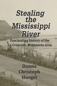 bokomslag Stealing the Mississippi River