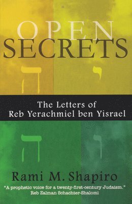 bokomslag Open Secrets