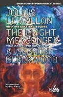 bokomslag Julius LeVallon / The Bright Messenger