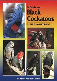 bokomslag A Guide to Black Cockatoos as Pet and Aviary Birds