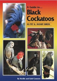 bokomslag Guide to Black Cockatoos as Pet and Aviary Birds