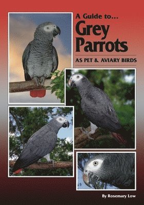 Rosemary Low - GT GREY PARROTS AS PET & AVIAR, Inbunden