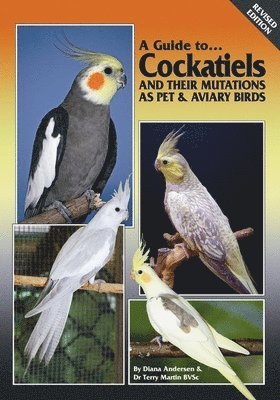 GT COCKATIELS & THEIR MUTATION