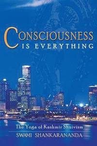 bokomslag Consciousness is Everything