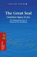 bokomslag The Great Seal: Limitless Space & Joy: The Mahamudra View of Diamond Way Buddhism