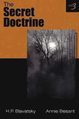 Annie, Besant, P BLAVATSKY, Helena - Secret Doctrine Vol III, Häftad