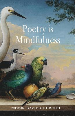 bokomslag Poetry is Mindfulness