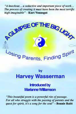 Franklin Wasserman, Harvey - Glimpse of the Big Light, Häftad