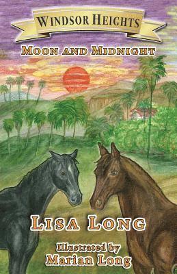 bokomslag Windsor Heights Book 3