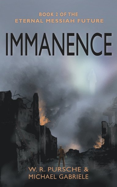 bokomslag Immanence