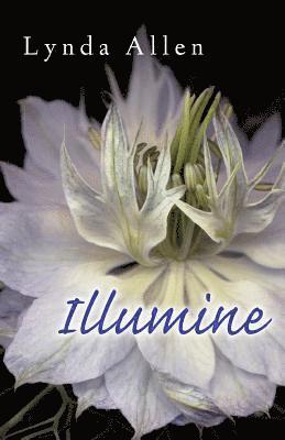 Illumine 1