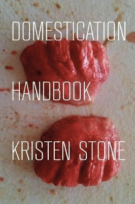 bokomslag Domestication Handbook