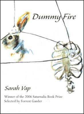 Sarah Vap - Dummy Fire, Häftad