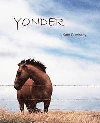 Yonder 1