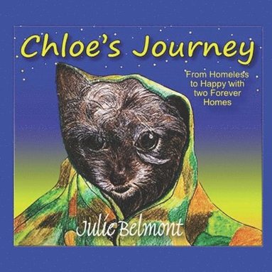 bokomslag Chloe's Journey