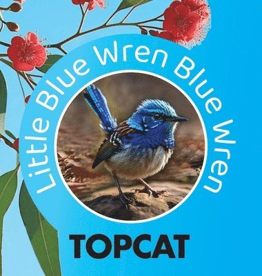 Little Blue Wren Blue Wren