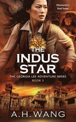 bokomslag The Indus Star