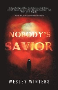 bokomslag Nobody's Savior