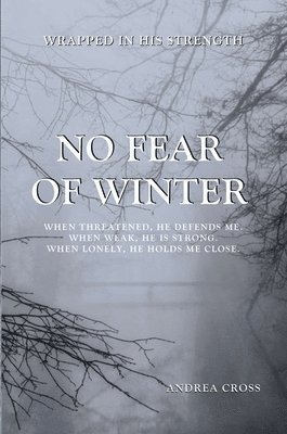 bokomslag No Fear of Winter