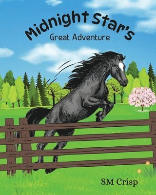 Midnight Star's Great Adventure 1