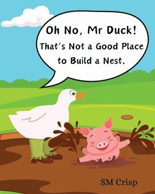 bokomslag Oh No, Mr Duck!