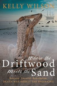 bokomslag Where the Driftwood meets the Sand