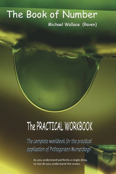 Michael Wallace - Book of Number, Häftad