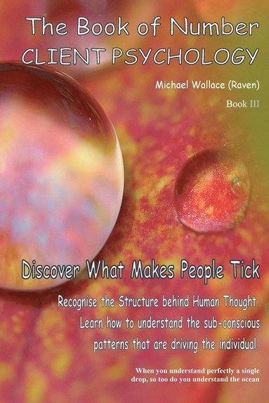 Michael Wallace - Book of Number, Häftad