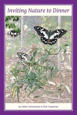 Inviting Nature to Dinner