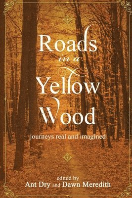 Dawn Meredith, Ant Dry - Roads in a Yellow Wood, Häftad