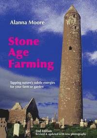 bokomslag Stone Age Farming
