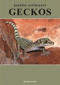 bokomslag Keeping Australian Geckos