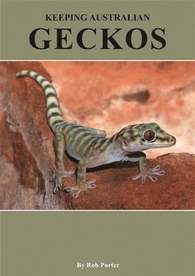 Keeping Australian Geckos 1