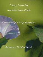 bokomslag Patterns Illuminating How Jesus Opens the Heart: : A New Passage Through the Gospels