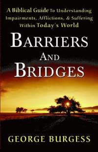 bokomslag Barriers and Bridges