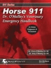 bokomslag Horse 911