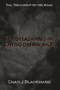 bokomslag The Shadows of Dragonswake