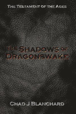 bokomslag Shadows of Dragonswake