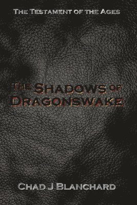 The Shadows of Dragonswake 1