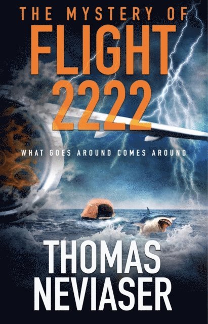 The Mystery of Flight 2222 1