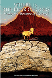 bokomslag Where is the Fear of God?: Finding the Treasure of the Lord