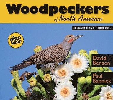 David Benson - Woodpeckers of North America, Häftad