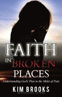 bokomslag Faith in Broken Places: Understanding God's Plan in the Midst of Pain