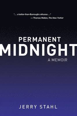 bokomslag Permanent Midnight